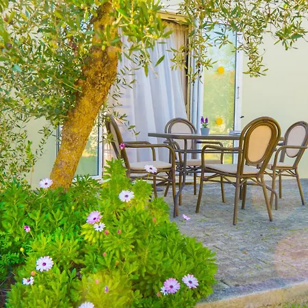 Olive τrees Garden Aparthotel