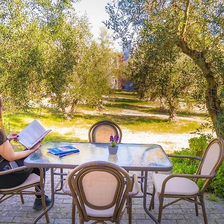 מלון דירות Olive τrees Garden